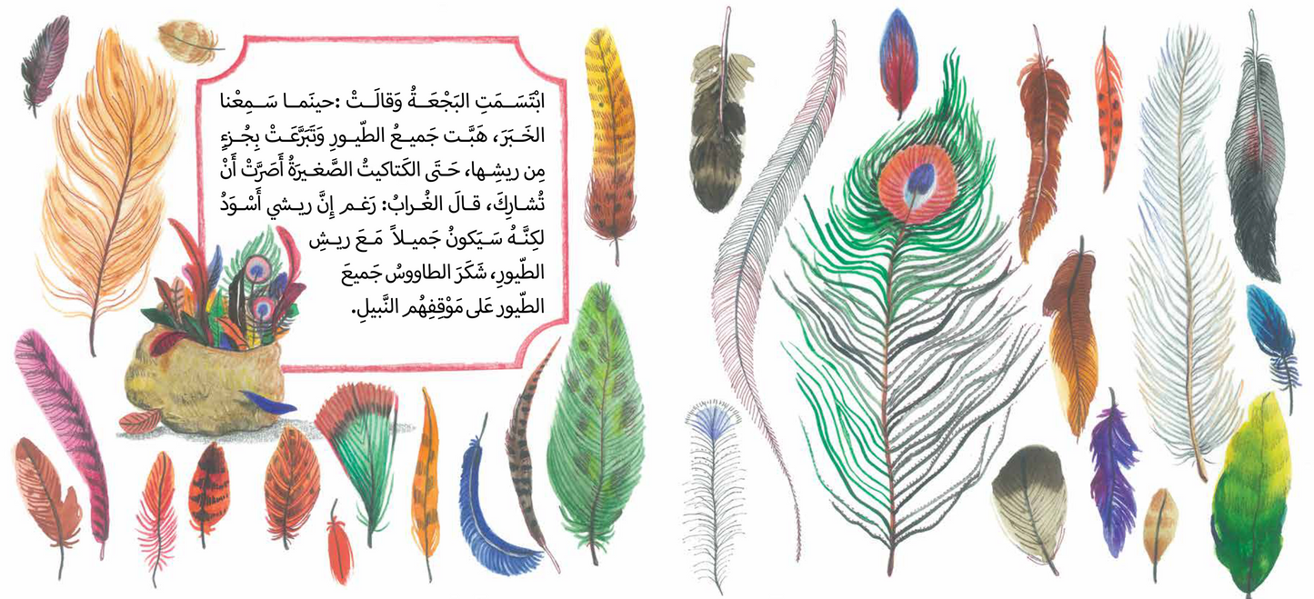 The peacock’s new feathers كيف صار للطاووس ريش جميل؟