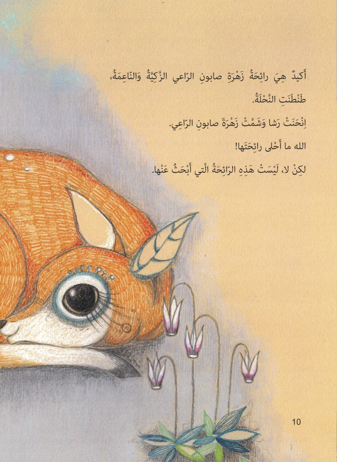 Rasha’s story (Hard cover) قصة رشا (غلاف سميك)